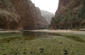 Wadi Shees - малко райско кътче с много възможности за забавления