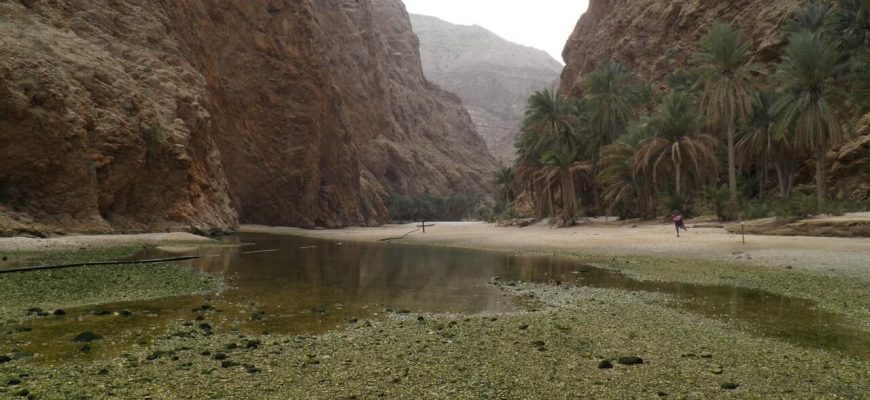 Wadi Shees - малко райско кътче с много възможности за забавления